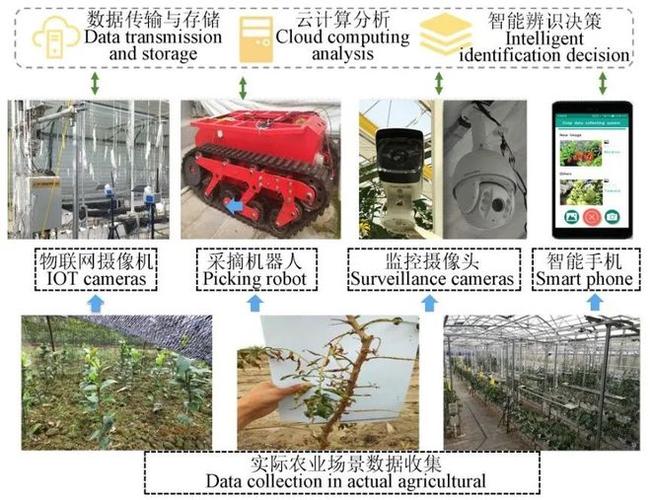 彭彦昆教授农产品品质无损检测的人工智能技术